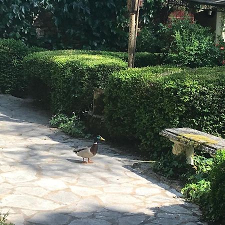Bed & Breakfast Le Moulin Neuf Saint-Alvere Ngoại thất bức ảnh