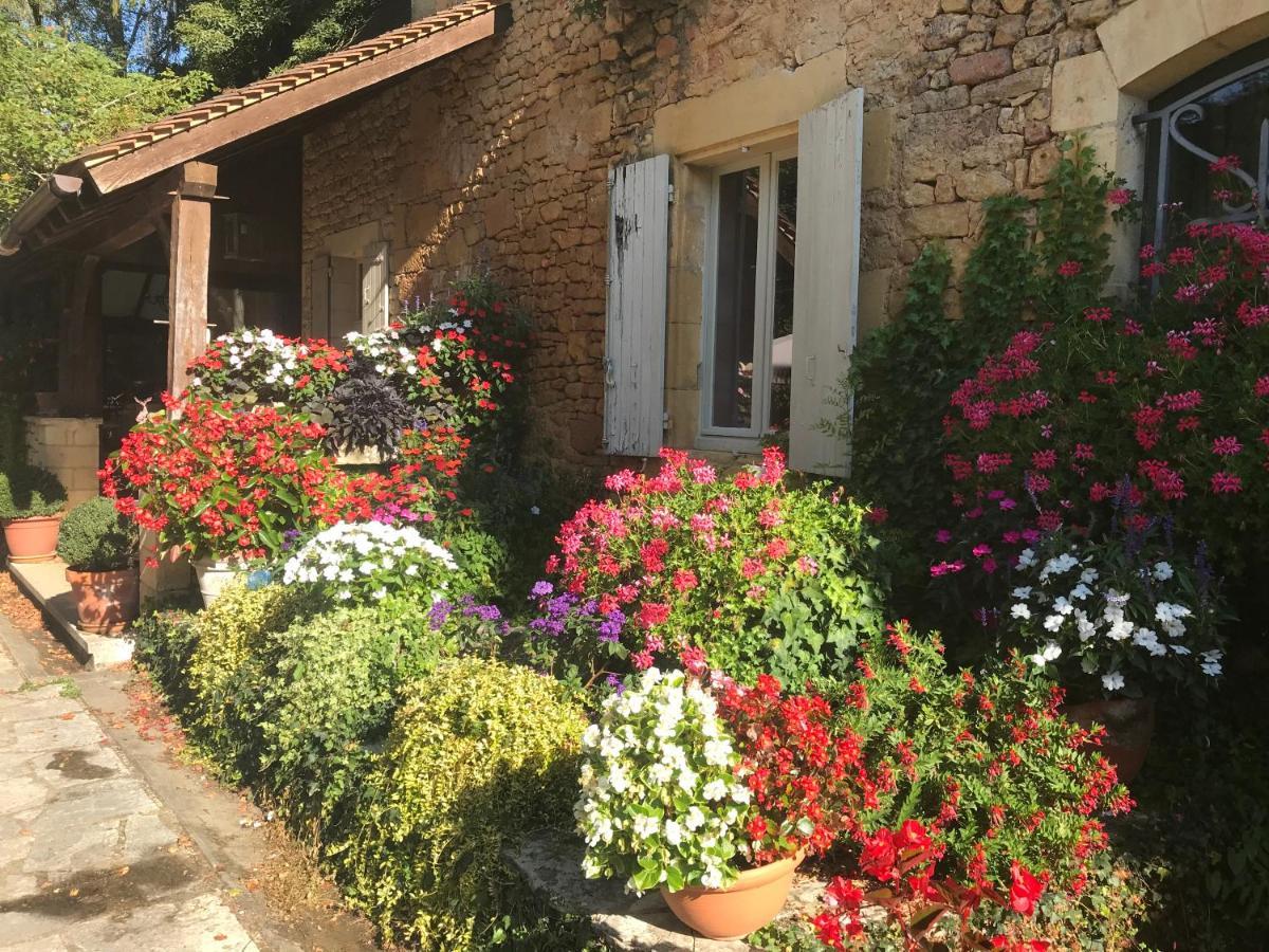 Bed & Breakfast Le Moulin Neuf Saint-Alvere Ngoại thất bức ảnh